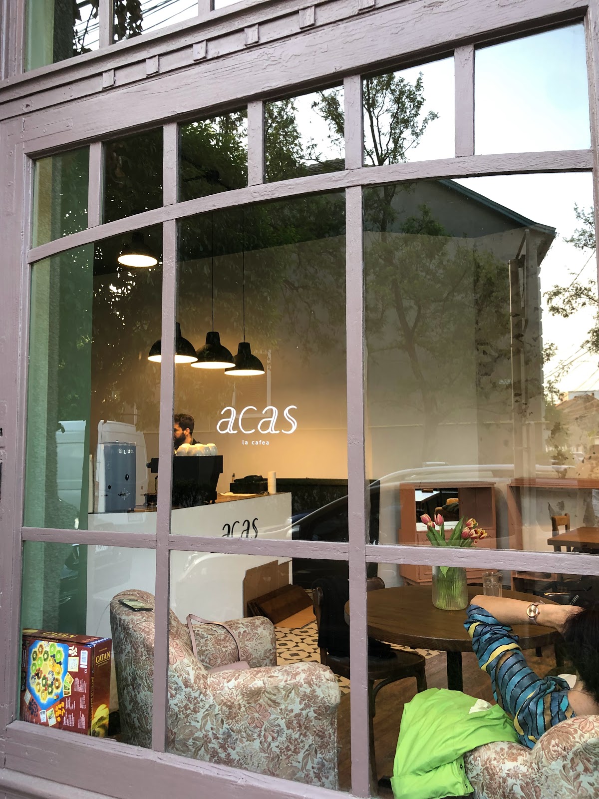 acas specialty coffee